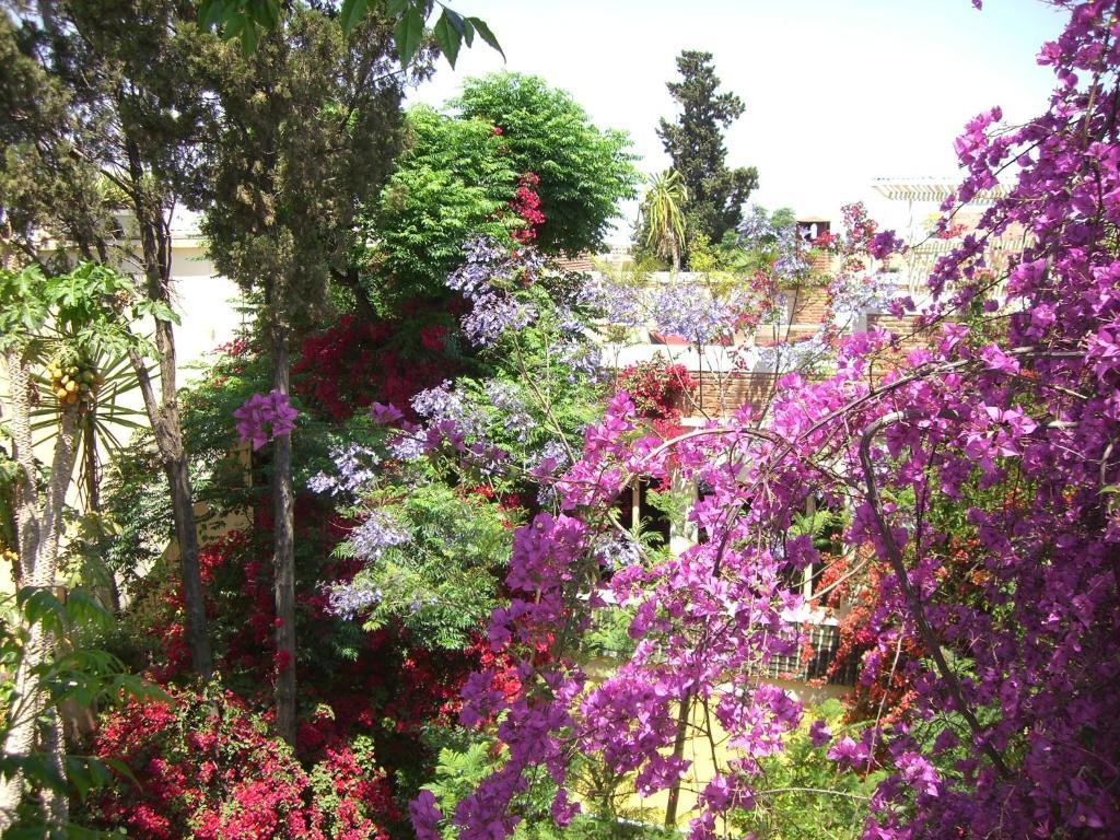 Riad Malika Marrakesh Exterior photo