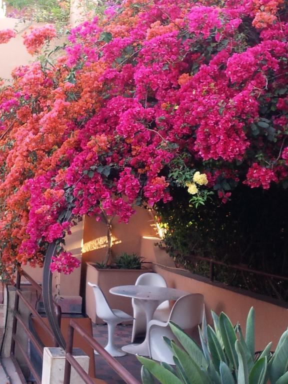 Riad Malika Marrakesh Exterior photo